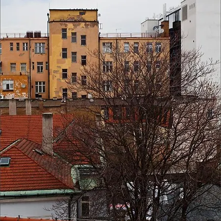 In Center Of *